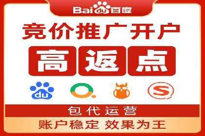 专业竞价SEM托管成功案例解析